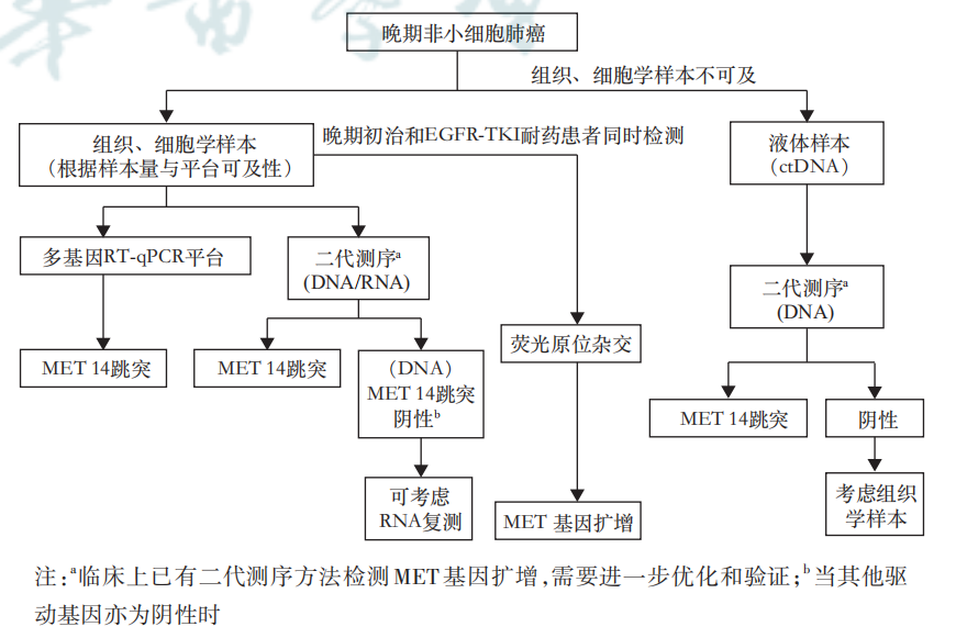 中国·拉斯维加斯(3499·官方认证)网站-Officialwebsite