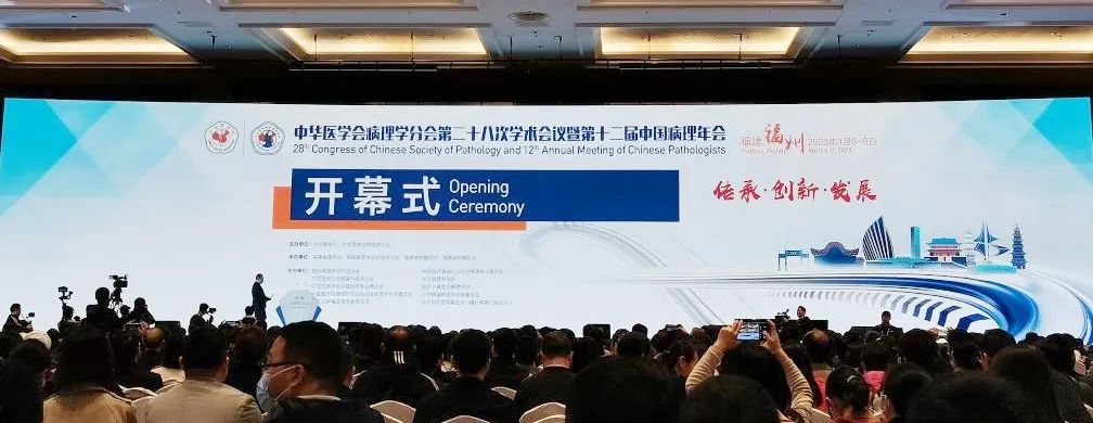 2a0aaa39cb0fa3c15ce0fa336514f113 中国·拉斯维加斯(3499·官方认证)网站-Officialwebsite