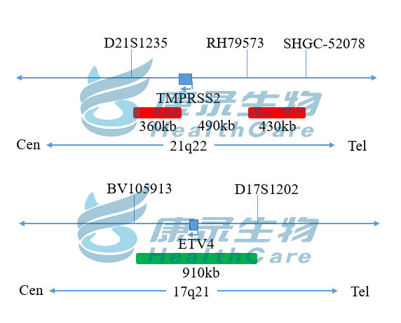 中国·拉斯维加斯(3499·官方认证)网站-Officialwebsite