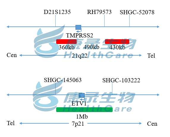 中国·拉斯维加斯(3499·官方认证)网站-Officialwebsite