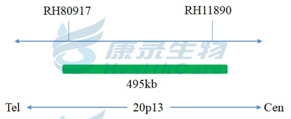 中国·拉斯维加斯(3499·官方认证)网站-Officialwebsite