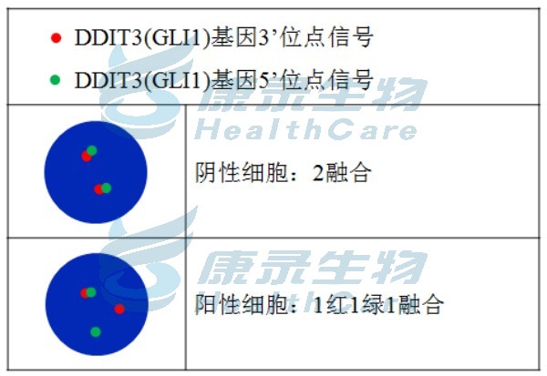 中国·拉斯维加斯(3499·官方认证)网站-Officialwebsite