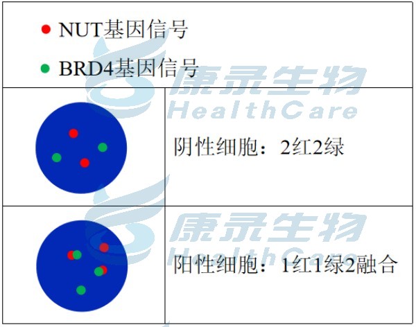 中国·拉斯维加斯(3499·官方认证)网站-Officialwebsite
