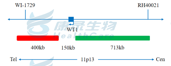 中国·拉斯维加斯(3499·官方认证)网站-Officialwebsite