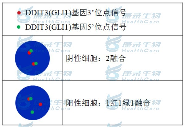 中国·拉斯维加斯(3499·官方认证)网站-Officialwebsite