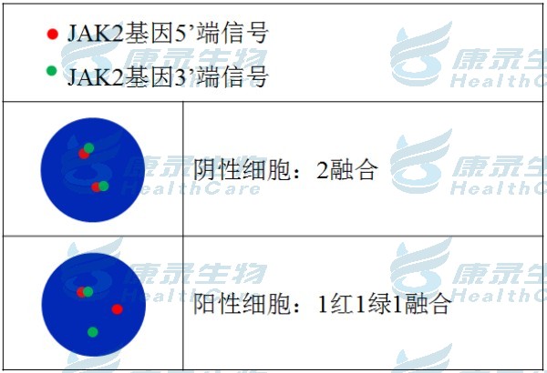 中国·拉斯维加斯(3499·官方认证)网站-Officialwebsite