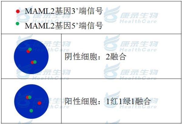 中国·拉斯维加斯(3499·官方认证)网站-Officialwebsite