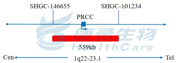 中国·拉斯维加斯(3499·官方认证)网站-Officialwebsite
