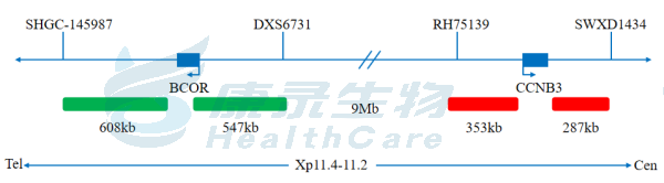 中国·拉斯维加斯(3499·官方认证)网站-Officialwebsite