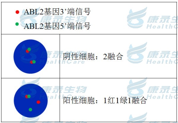 中国·拉斯维加斯(3499·官方认证)网站-Officialwebsite