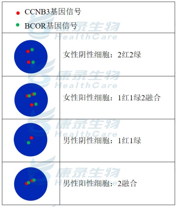 中国·拉斯维加斯(3499·官方认证)网站-Officialwebsite