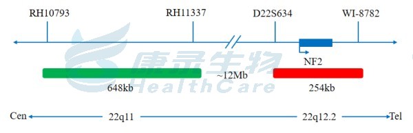 中国·拉斯维加斯(3499·官方认证)网站-Officialwebsite