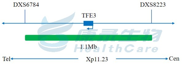 中国·拉斯维加斯(3499·官方认证)网站-Officialwebsite