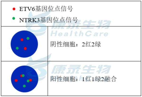 中国·拉斯维加斯(3499·官方认证)网站-Officialwebsite