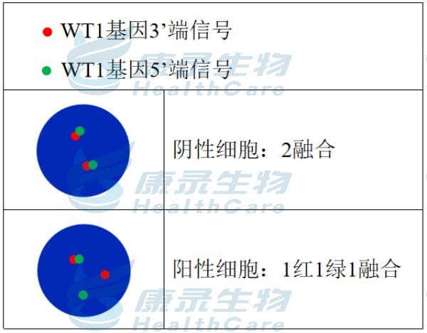 中国·拉斯维加斯(3499·官方认证)网站-Officialwebsite