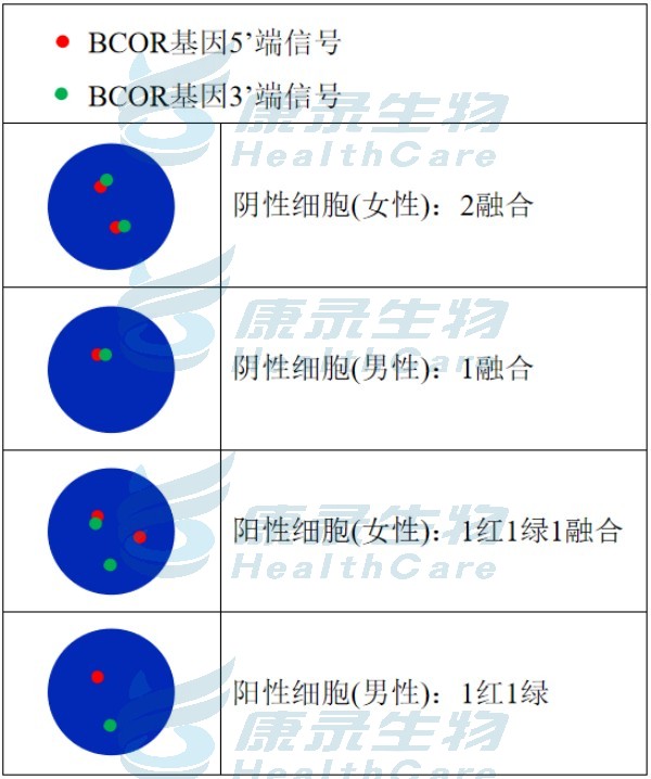 中国·拉斯维加斯(3499·官方认证)网站-Officialwebsite