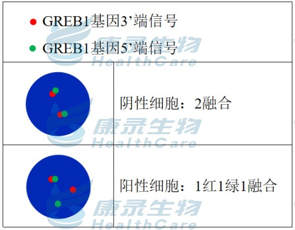 中国·拉斯维加斯(3499·官方认证)网站-Officialwebsite