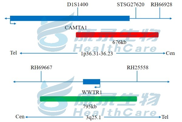 中国·拉斯维加斯(3499·官方认证)网站-Officialwebsite