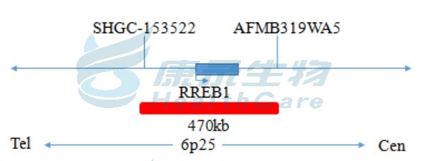 中国·拉斯维加斯(3499·官方认证)网站-Officialwebsite