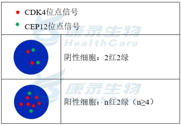 中国·拉斯维加斯(3499·官方认证)网站-Officialwebsite