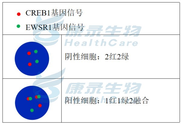中国·拉斯维加斯(3499·官方认证)网站-Officialwebsite