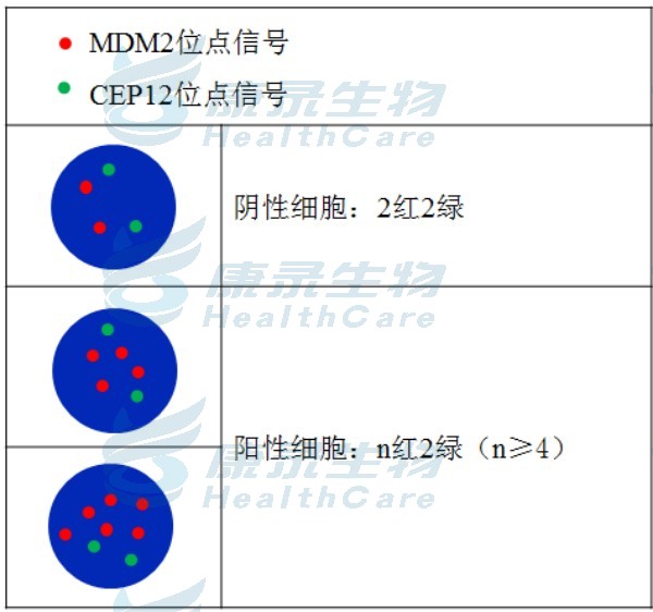 中国·拉斯维加斯(3499·官方认证)网站-Officialwebsite