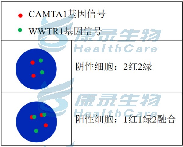 中国·拉斯维加斯(3499·官方认证)网站-Officialwebsite