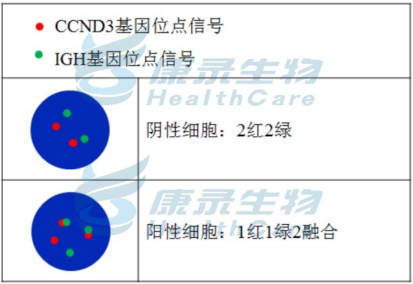 中国·拉斯维加斯(3499·官方认证)网站-Officialwebsite