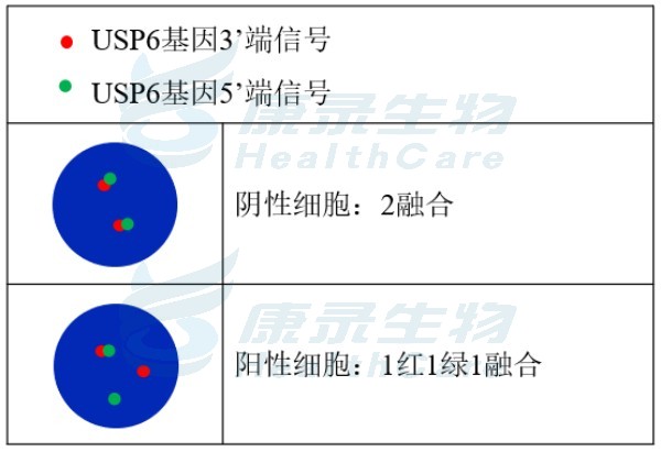 中国·拉斯维加斯(3499·官方认证)网站-Officialwebsite
