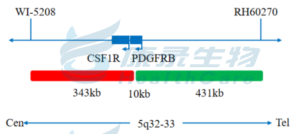 中国·拉斯维加斯(3499·官方认证)网站-Officialwebsite