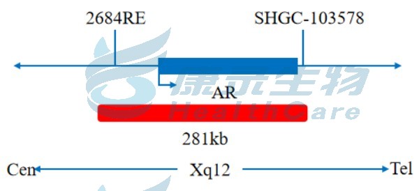 中国·拉斯维加斯(3499·官方认证)网站-Officialwebsite