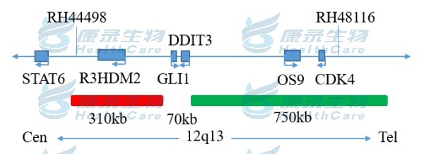 中国·拉斯维加斯(3499·官方认证)网站-Officialwebsite