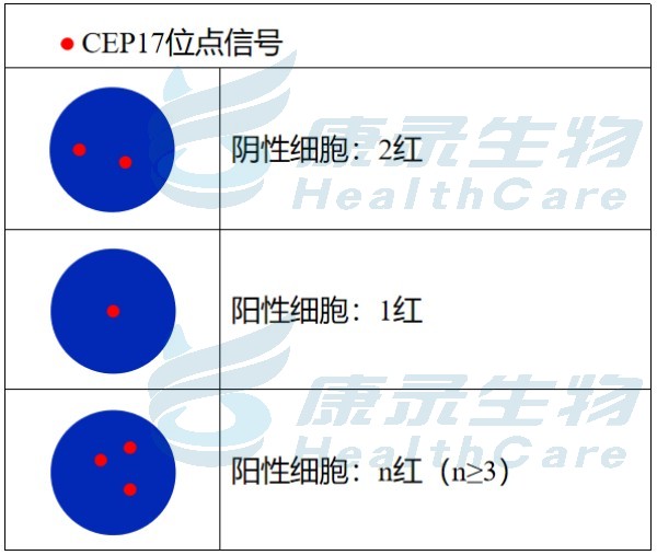 中国·拉斯维加斯(3499·官方认证)网站-Officialwebsite