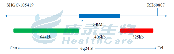 中国·拉斯维加斯(3499·官方认证)网站-Officialwebsite
