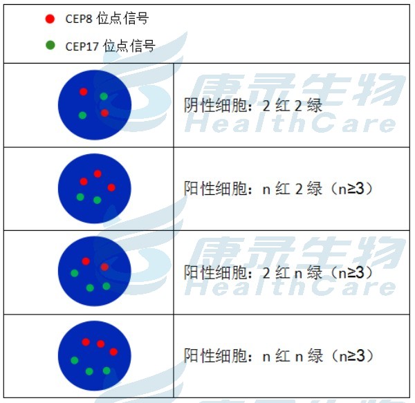 中国·拉斯维加斯(3499·官方认证)网站-Officialwebsite
