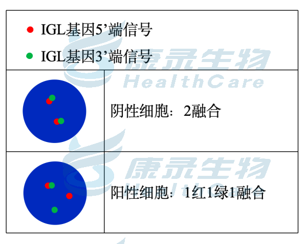 中国·拉斯维加斯(3499·官方认证)网站-Officialwebsite