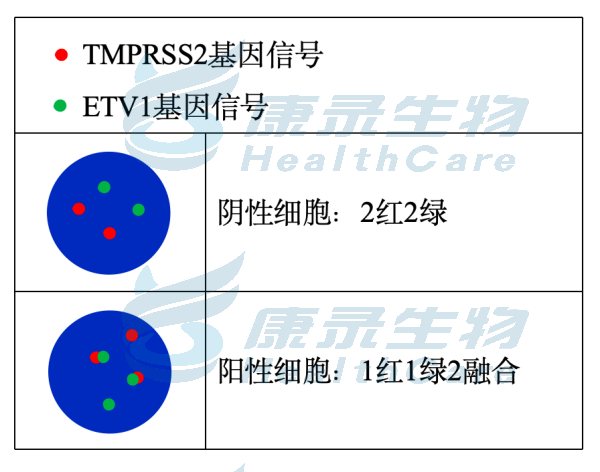 中国·拉斯维加斯(3499·官方认证)网站-Officialwebsite