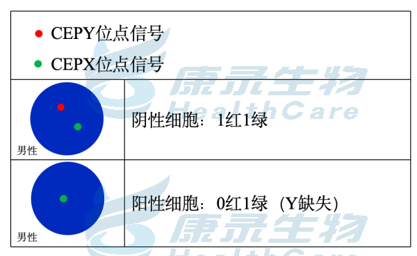 中国·拉斯维加斯(3499·官方认证)网站-Officialwebsite