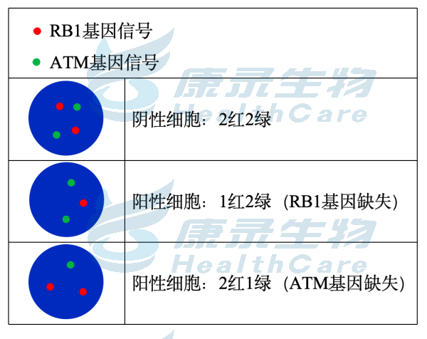 中国·拉斯维加斯(3499·官方认证)网站-Officialwebsite