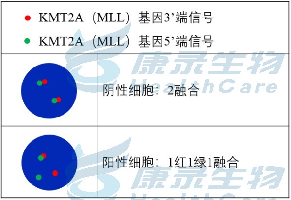 中国·拉斯维加斯(3499·官方认证)网站-Officialwebsite