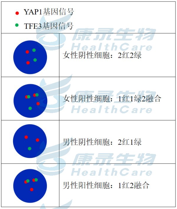 中国·拉斯维加斯(3499·官方认证)网站-Officialwebsite