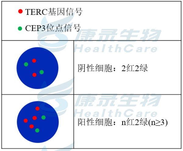 中国·拉斯维加斯(3499·官方认证)网站-Officialwebsite