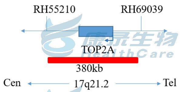 中国·拉斯维加斯(3499·官方认证)网站-Officialwebsite