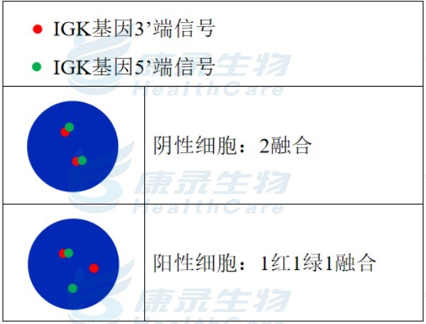 中国·拉斯维加斯(3499·官方认证)网站-Officialwebsite