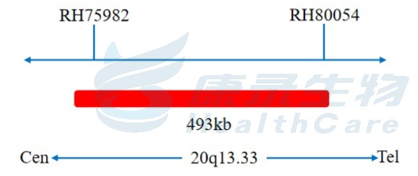 中国·拉斯维加斯(3499·官方认证)网站-Officialwebsite