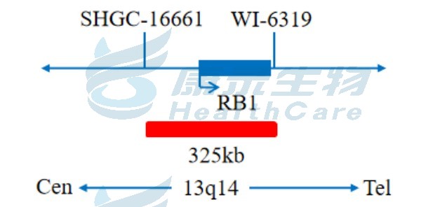 中国·拉斯维加斯(3499·官方认证)网站-Officialwebsite