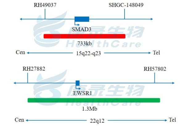 中国·拉斯维加斯(3499·官方认证)网站-Officialwebsite