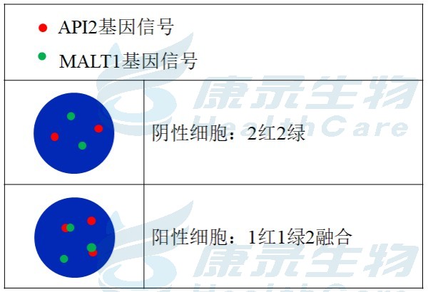 中国·拉斯维加斯(3499·官方认证)网站-Officialwebsite