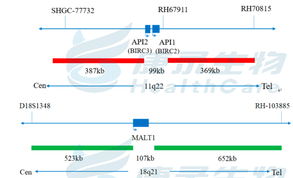 中国·拉斯维加斯(3499·官方认证)网站-Officialwebsite
