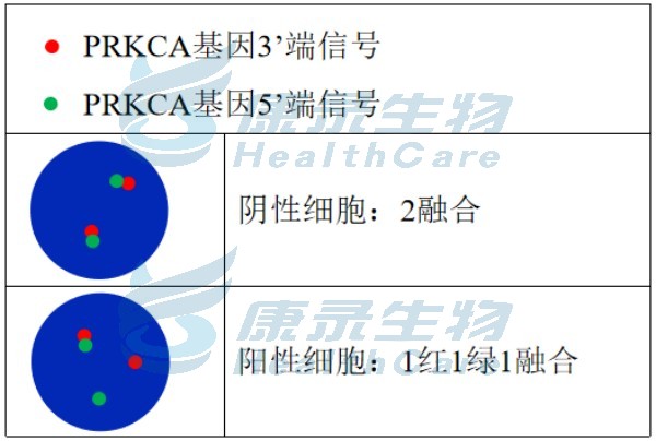 中国·拉斯维加斯(3499·官方认证)网站-Officialwebsite